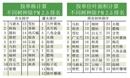 植物净化室内装修污染能力大PK