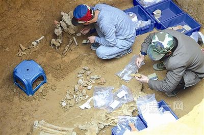 三门峡发现大规模北朝墓葬群