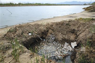 涂料厂污水偷排