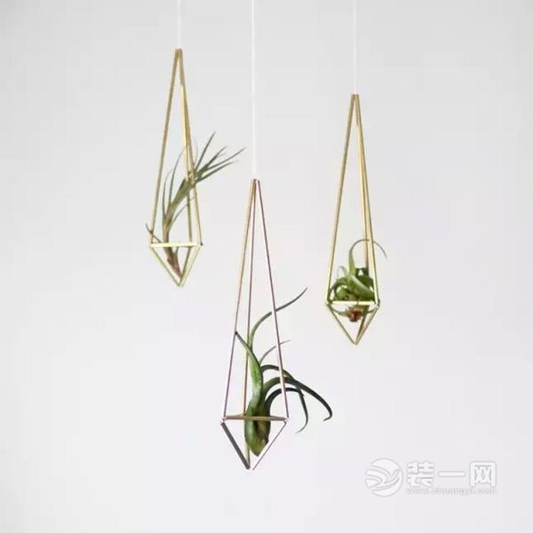 广州装修15款创意室内植物设计
