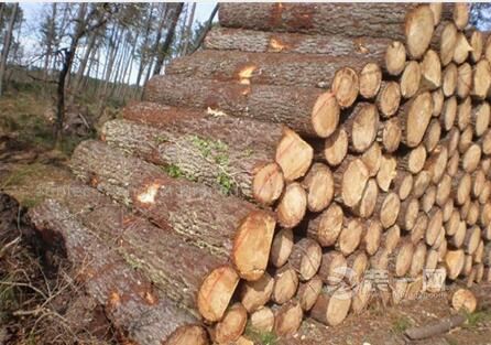 实木家具木材种类及特性