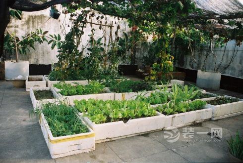 屋顶菜园图