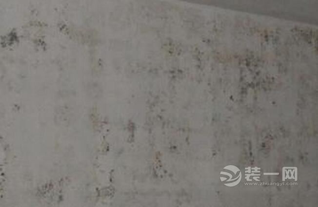 上海装修网：病房墙壁发霉急于装修 95岁久病老人被下“驱逐令”