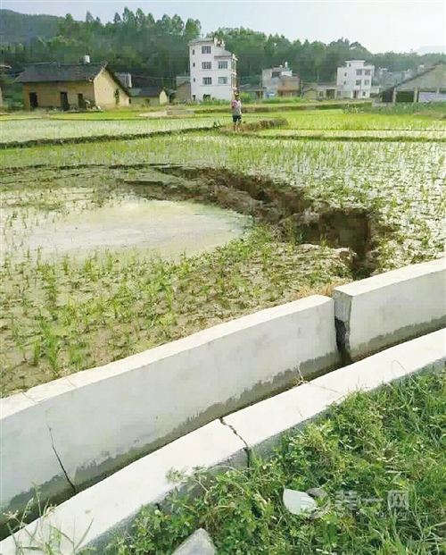 广西苍梧县地震