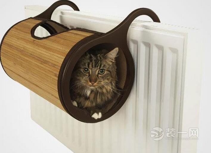 成都装修网总结猫奴必备的室内装修方法 你有考虑过猫的感受吗？