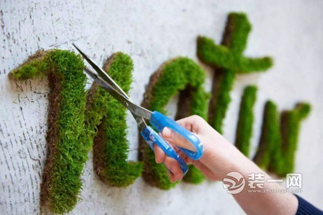 苔藓创意设计效果图