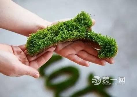 苔藓创意设计效果图