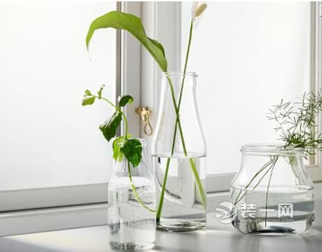 室内湿度技巧保湿绿色植物摆放效果图