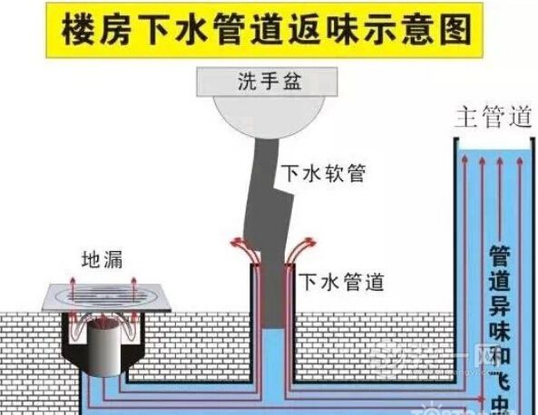 教你一次彻底解决卫生间臭味问题