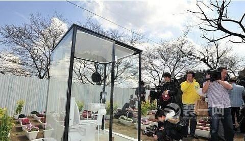 日本透明厕所亮眼装修引热议 环境优雅仅限女士使用