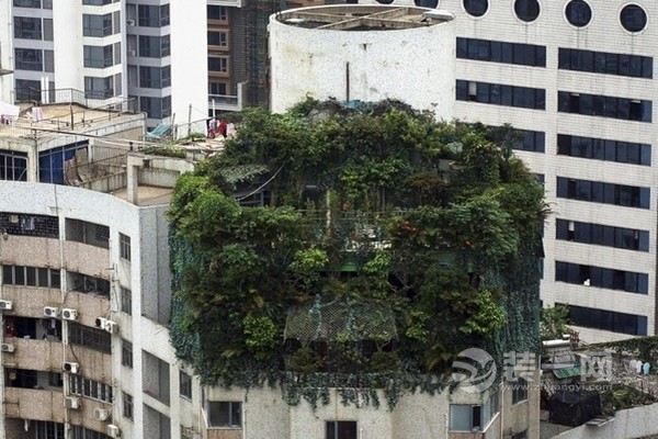 各式各样的奇葩民居建筑设计效果图