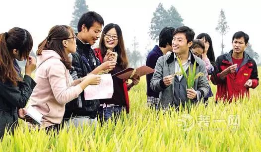 东营广饶要建大学