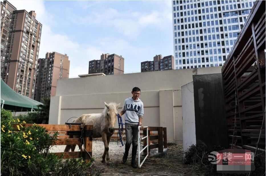 昆明一商场顶楼现“马术运动场” 培训设备装修齐全