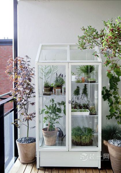 冬天室内植物可不能乱养 珠海装修网荐室内绿植装饰