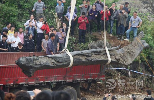 确定为乌木后当地政府及时相关部门派人日夜守护。