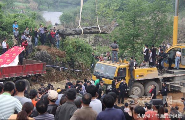 确定为乌木后当地政府及时相关部门派人日夜守护。