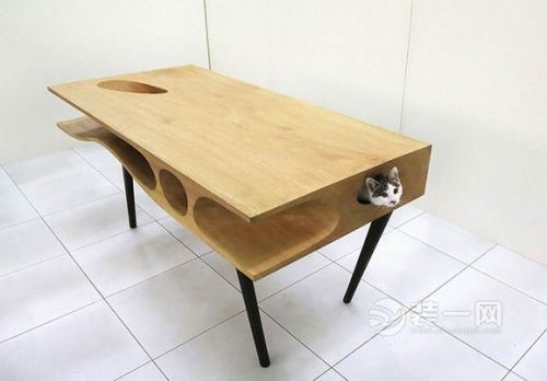 猫奴们的最爱 齐齐哈尔装修网推荐创意十足的家具