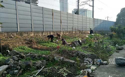点赞！宁波一小区1500平“私家菜园”和两处违建被整治