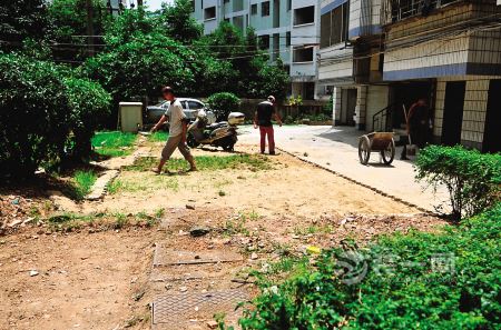 下吕浦天鹅组团小区铲掉绿地计划建停车位 业主惋惜