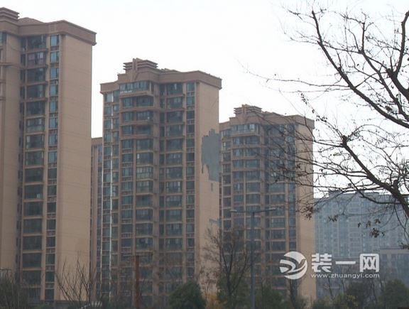 上海某小区又现外墙脱落 墙皮悬挂树上居民表示担心