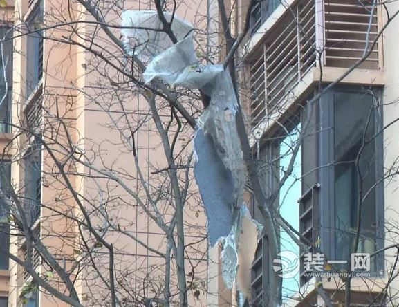上海某小区又现外墙脱落 墙皮悬挂树上居民表示担心