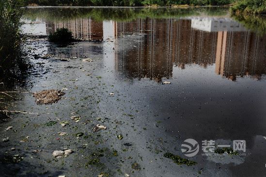 乌鲁木齐城市花园小区污水渗地下室 恶臭难闻居民愁