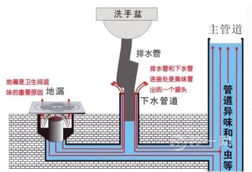 地漏種類大集合 地漏的選購(gòu)知識(shí)