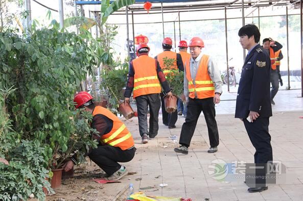 深圳花卉世界打响新年拆违第一枪 拆除工作火力全开