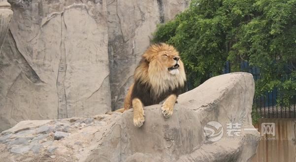 鄭州市動物園要遷到滎陽?原來是第二動物園正在選址