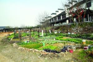 南昌八大山人梅湖景区休闲广场黑灯瞎火 空地沦为菜地