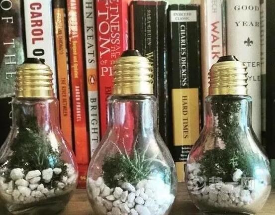 放入微型植物或者模型的灯泡