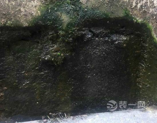 墙面漏水发霉 住房维修基金不到位绵阳业主伴臭5年