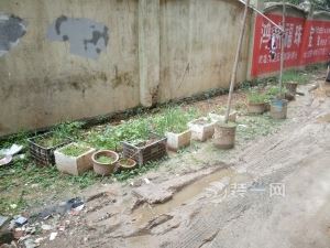 南昌新建大道136号居民楼脏乱差遭投诉