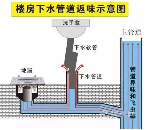 涂料别太香卫生间忌无返水弯 江门装修网揭家装禁忌