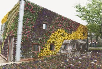 美爆! 南京绿博园房屋外墙用五彩花卉装饰成各种图案