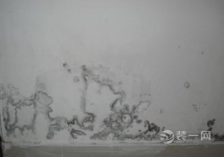南京某小区外墙雨水管断裂 居民家墙壁发霉装修被毁