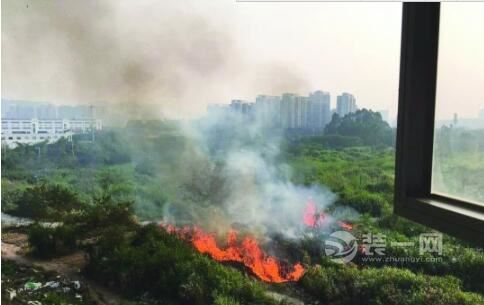 深圳教育用地荒废多年 附近居民种菜解闷烧荒酿火灾