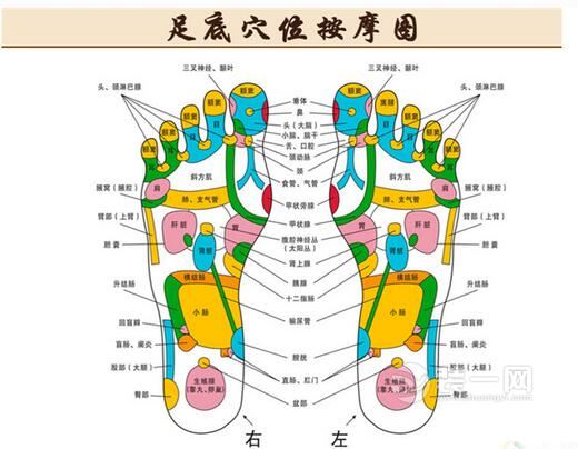 母亲节礼物送什么好？重庆装修网备下走心居家小礼物