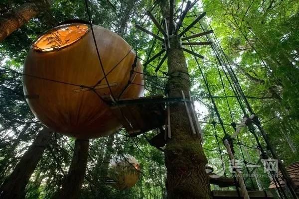 树屋图片 全球最出名的树屋装修效果图