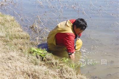 景观建设装修全面加强 呼和浩特园林局进行提升改造