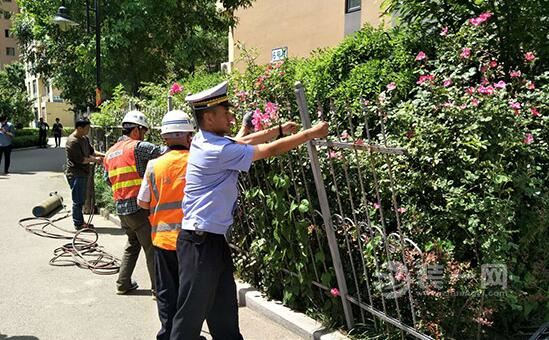 青岛一小区450平方米绿地被圈占