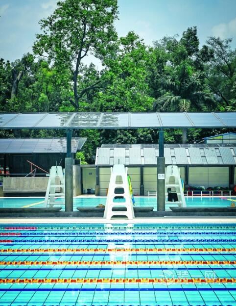 游泳池设计 广州华南理工游泳池装修效果图