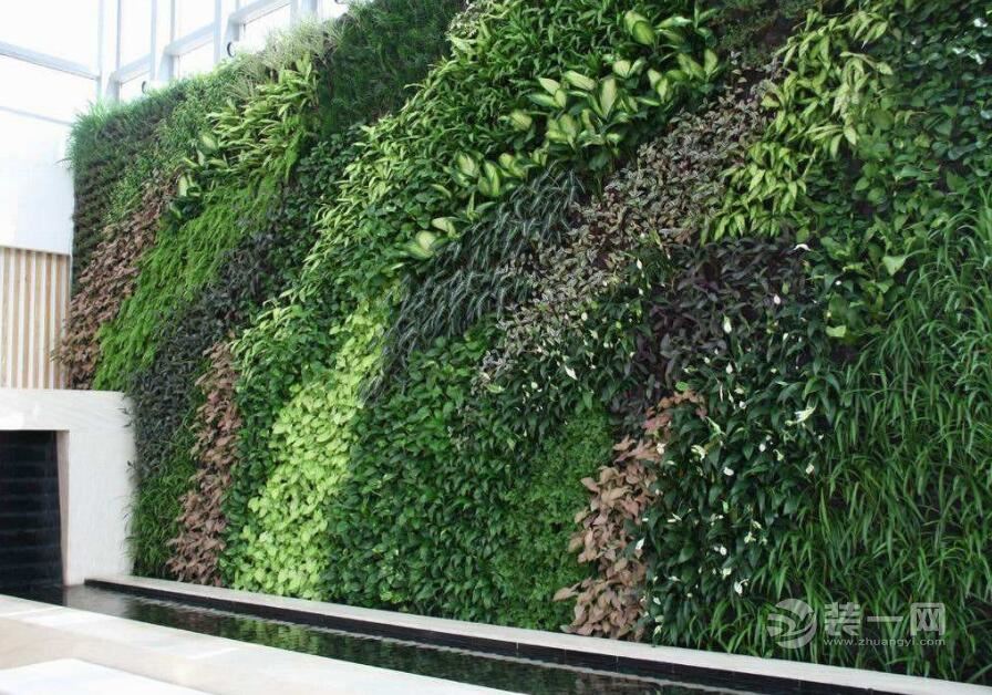 立体绿化植物墙装修 成都公共厕所陆续穿上花衣裳
