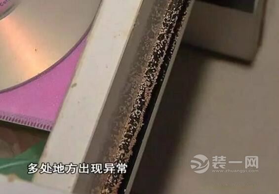 广州南沙一豪宅被白蚁侵袭 装修网解析家庭白蚁防治方法