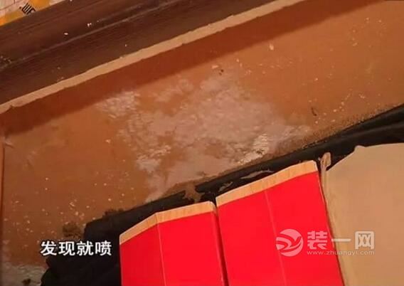广州南沙一豪宅被白蚁侵袭 装修网解析家庭白蚁防治方法