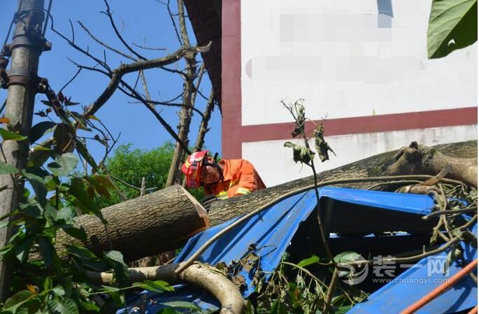 梁平区一大树倒在屋顶上 居民人身财产安全受影响