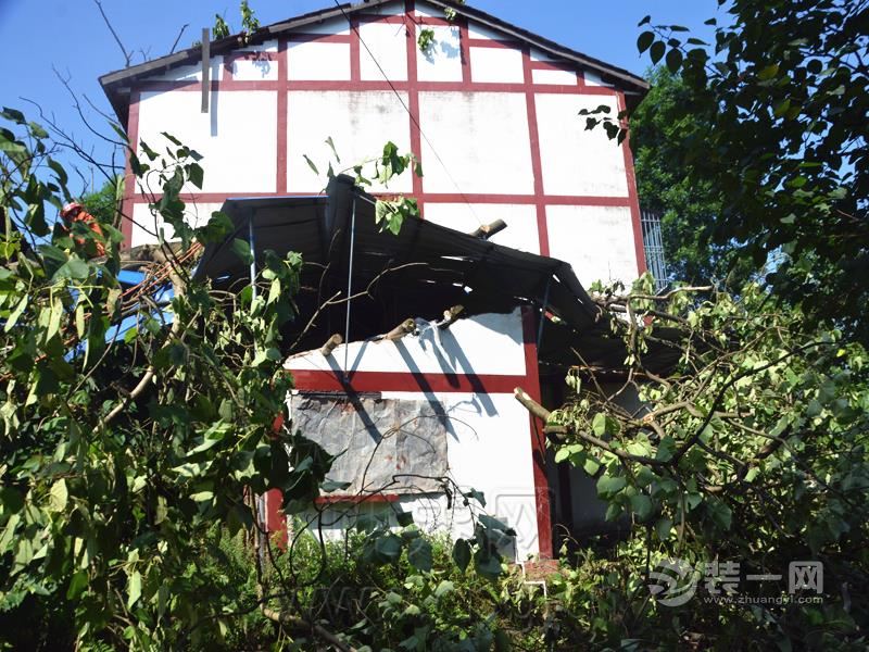 梁平区一大树倒在屋顶上 居民人身财产安全受影响