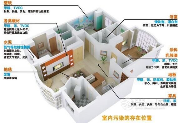 装修花百万换来污染房 深圳业主维权打官司却败诉