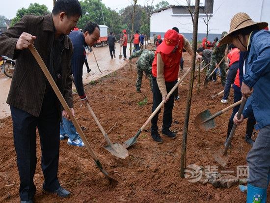 全民参与南宁美丽乡村建设活动