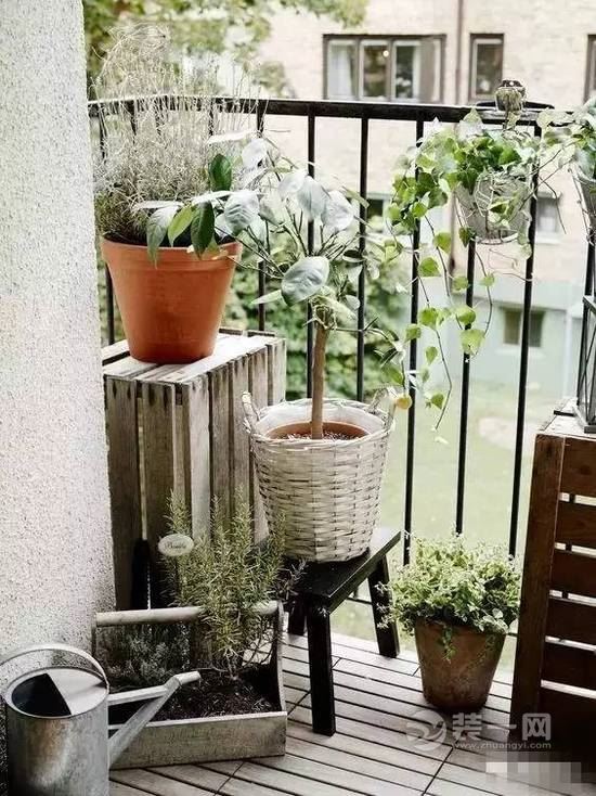 阳台花园实景图片 阳台花园设计